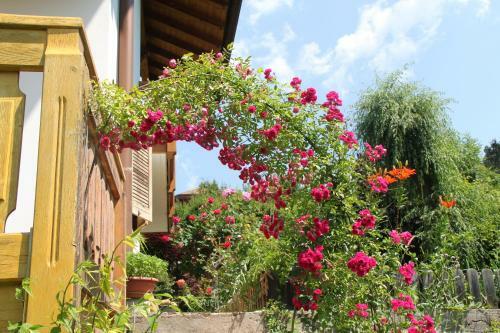 Hotel Garn� Goccia D'oro