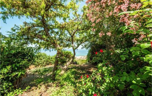Amazing Home In Castelsardo With 2 Bedrooms