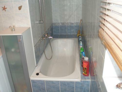 Apartment Smeralova