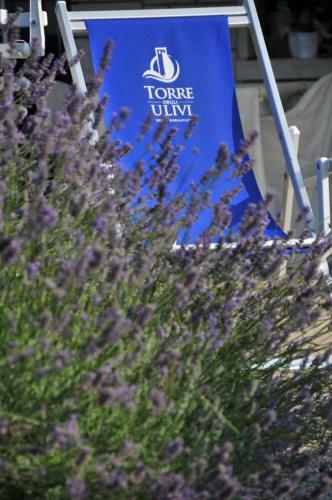 Bed & Breakfast Torre Degli Ulivi