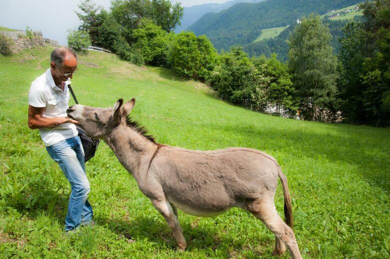 Agroturismo Ausservogelweiderhof