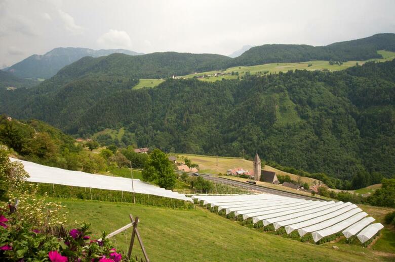 Agroturismo Ausservogelweiderhof