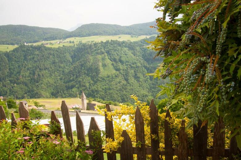 Agroturismo Ausservogelweiderhof