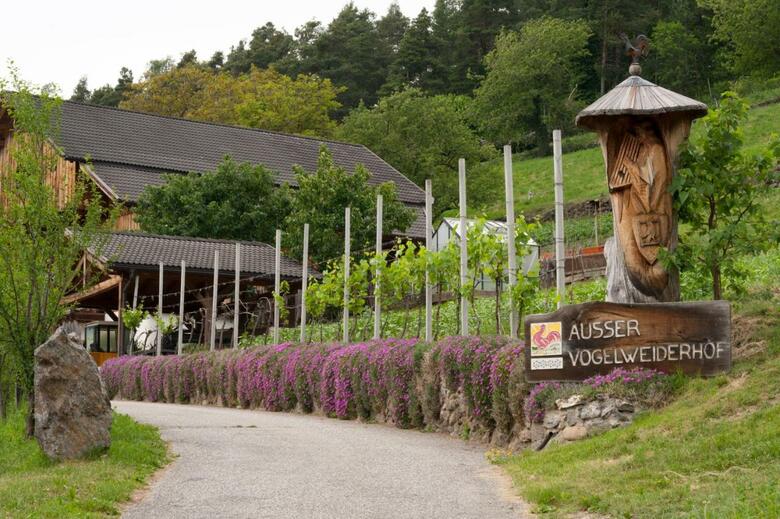 Agroturismo Ausservogelweiderhof