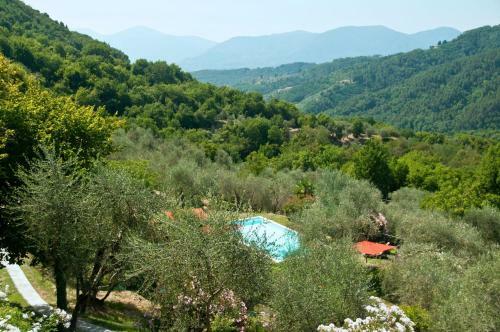 Villa Igea