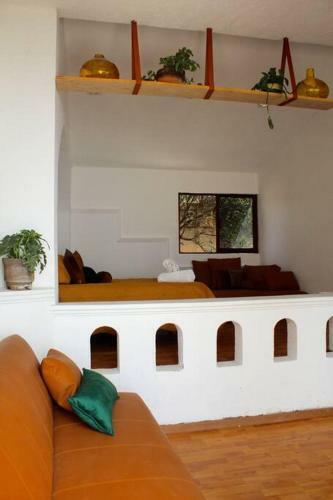 Casa Galgo: Full House To Live Cholula