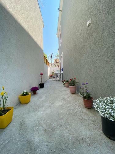 Hostal Sunny Guest House