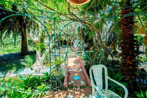Apartamento El Card�n Agaete Valley Boyr