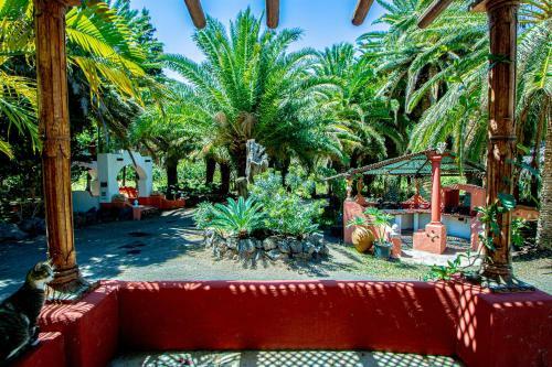 Apartamento Hibiscus Agaete Valley Hbab