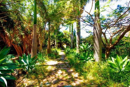 Apartamento Hibiscus Agaete Valley Hbab