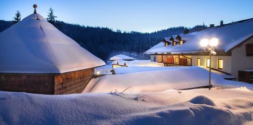 Wellness- Und Vitalhotel B�hmhof