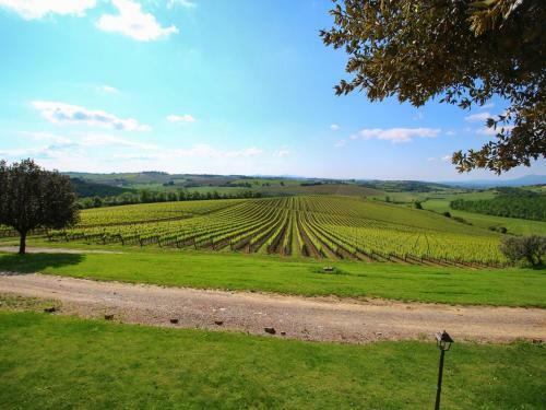 Agroturismo Tulipano Valiano Montepulciano