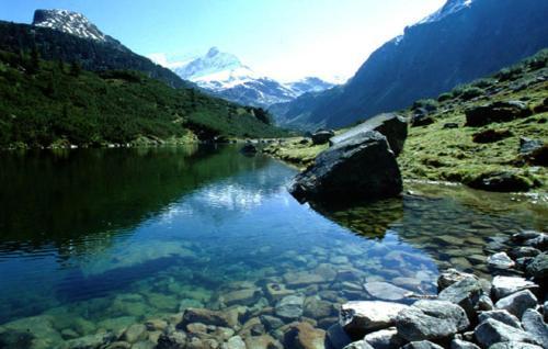 Bed & Breakfast Pension Alpenhof