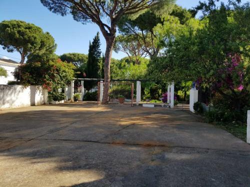 Apartamento Agradable Y Bonita Casa Independiente