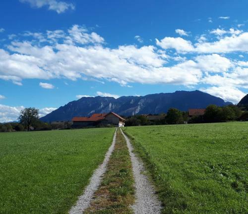 Apartamento Ferienwohnung Reiter