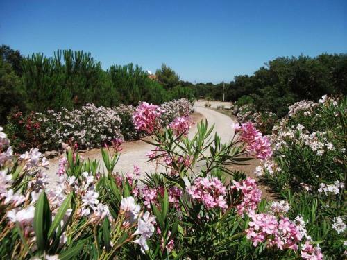 Agroturismo Agriturismo Rocce Bianche - Bungalows