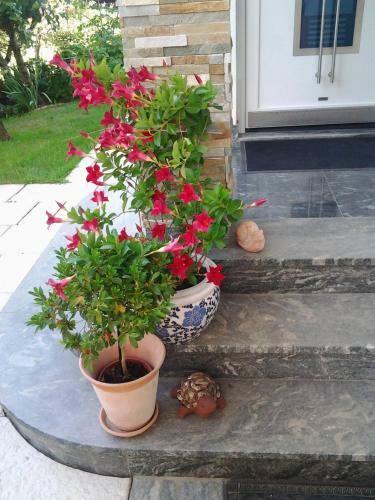 Apartma Resort J&j