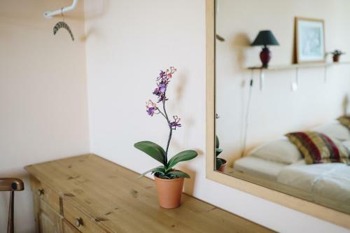 Apartamento Rustic Central Flat - Ocean View