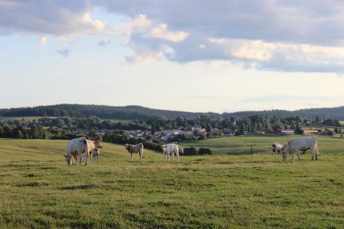 Agroturismo ?ty?i Pokoje