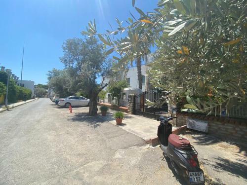 Apartamento Cute 2+1 Apt With Common Pool - Bodrum City Centre