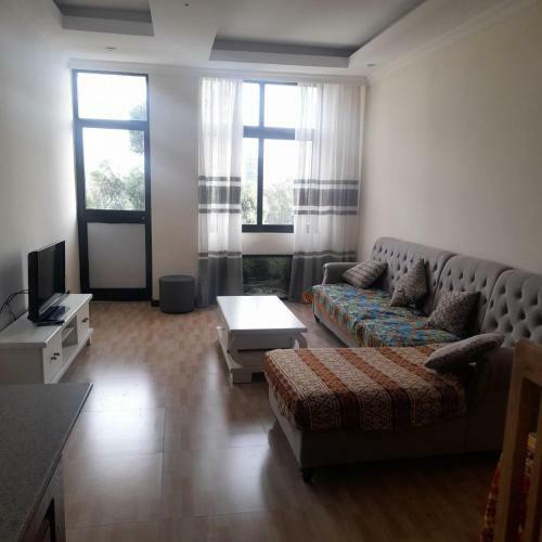 Luxury Fully Furnished Apartment