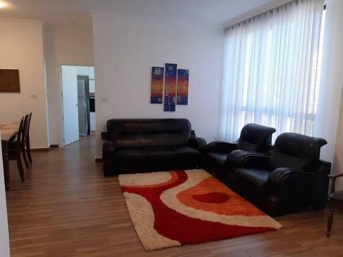 Luxury Fully Furnished Apartment