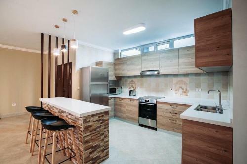 Luxury Fully Furnished Apartment