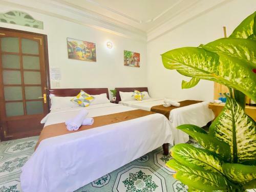 Hotel Tam An Homestay