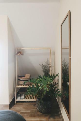 Apartamento Powill Home
