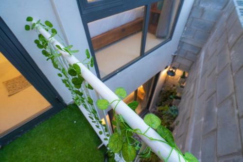 Pearl House Hoian Homestay