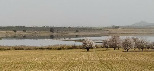 Casa Rural La Galana Albacete