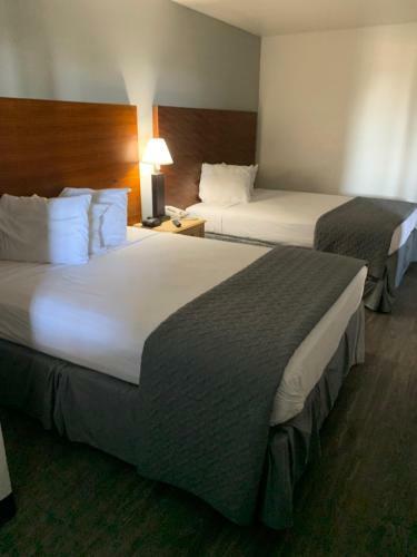 Hotel Extend-a-suites Tempe