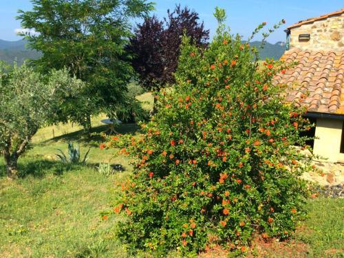 Holiday Home I Sassi Montecerboli