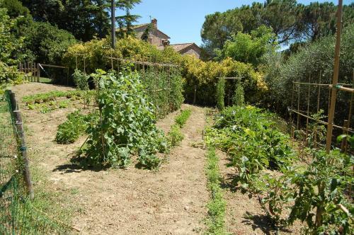Agroturismo Agriturismo Casale Dei Frontini