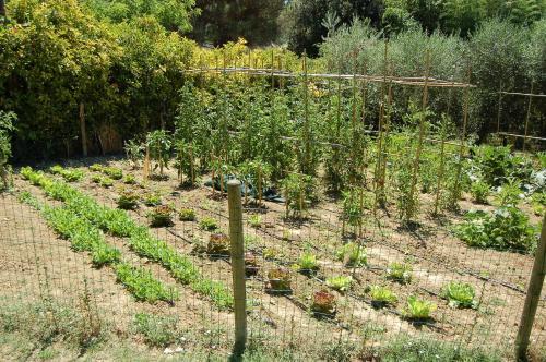 Agroturismo Agriturismo Casale Dei Frontini