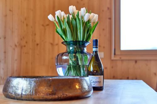 Apartamento Alpinlife Ferienhaus
