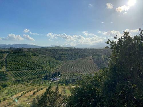 Casa Primavera - A Little Piece Of Paradise.
