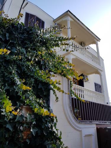 Vedzisi Garden Hotel
