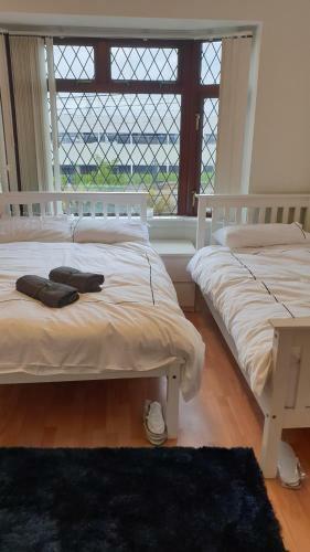 Bed & Breakfast Dublin Airport Lodge
