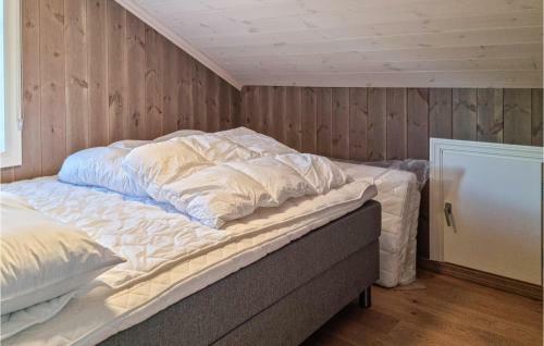 Awesome Home In Hovden I Setesdal With 5 Bedrooms