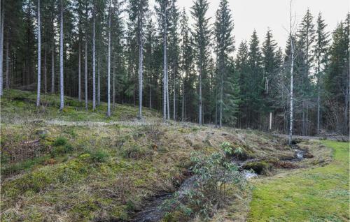 Stunning Home In Dalskog W/ Wifi And 2 Bedrooms