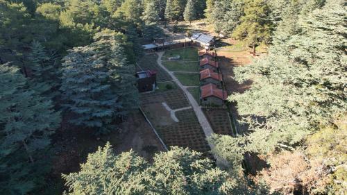 Lodge Cragus Inn Fethiye