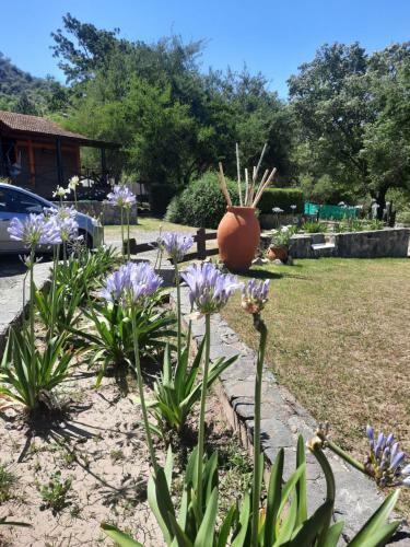 Lodge Caba�as Mampa