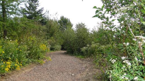 Hotel Auberge Wild Rose Inn