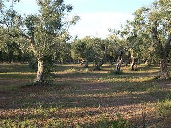 Agroturismo Masseria Lacco