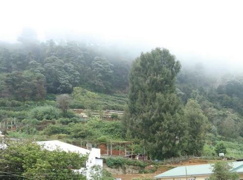 Apartamento The Firs Nuwara Eliya