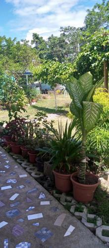 Lucky777 Homestay