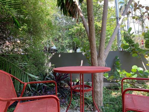 Private Apartment With A Pool In Merida (unit 1)