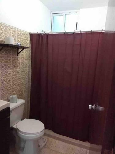 Apartamento Amplio Departamento En Centro Hist�rico, 3 Hab