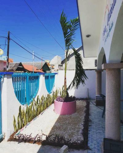Casa Marbella